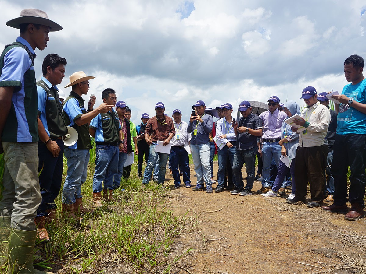 Breeding Course Participants in PT Buana Karya Bhakti, IACCB partner site in Tanah Bumbu, South Kalimantan