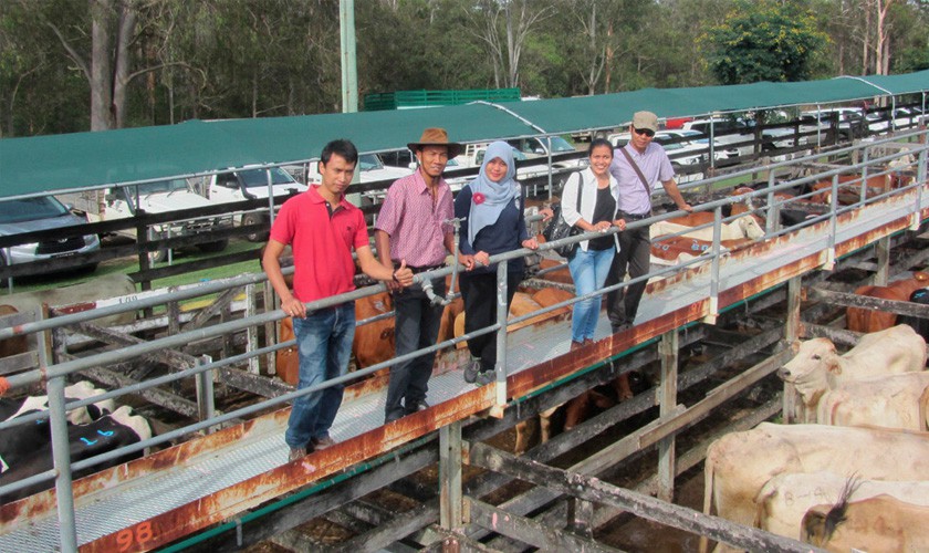 Pak Sumanta (second from left) and Pak Agung Bakti (far right) with fellow processing course participants at the Australian Country Choice (ACC) Valley Feedlot in Queensland-1