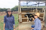 Bridging the Gender Gap in Cattle Industry
