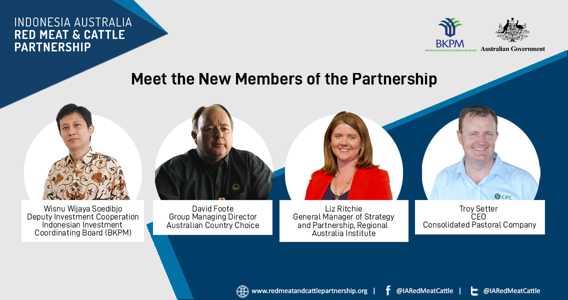 Meet the new members of the Partnership-1