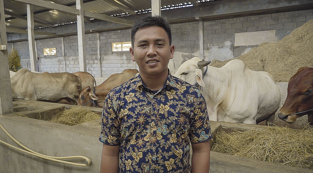 Dani hopes that, in the future, smallholder farmers in Central Java can make cattle fattening their main source of income
